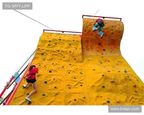 武汉攀岩队战术之争引发热议背后的深层原因与影响分析