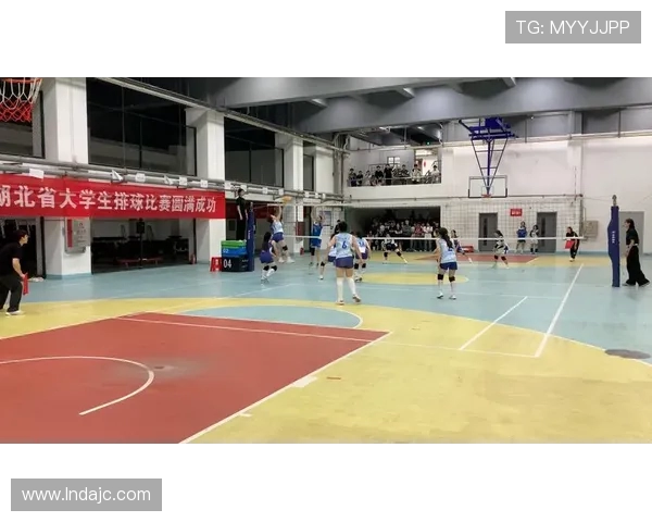 武汉排球队整体压制革新探讨与未来发展展望